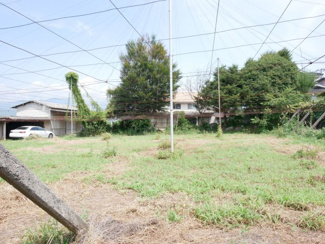 【庭】 | 甲州市塩山牛奥 中古 宅地252坪+農地196坪 四方道路 | 農地部分　ぶどう棚付き
