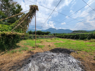 【庭】 | 甲州市塩山牛奥 中古 宅地252坪+農地196坪 四方道路 | 農地部分