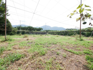 【庭】 | 甲州市塩山牛奥 中古 宅地252坪+農地196坪 四方道路 | 農地部分