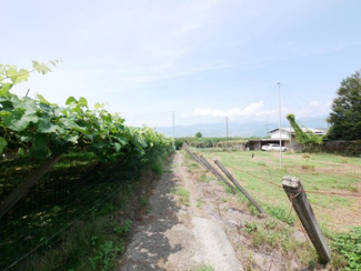 【前面道路含む現地写真】 | 甲州市塩山牛奥 中古 宅地252坪+農地196坪 四方道路 | 南側農道