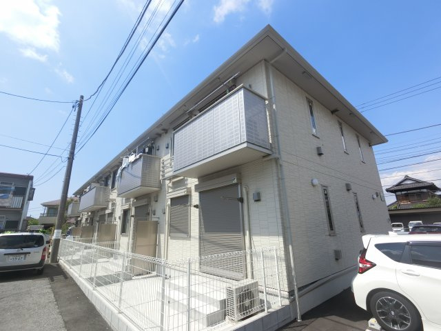 c.セミカの画像