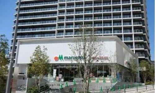 ビクセル新宿の周辺|スーパー