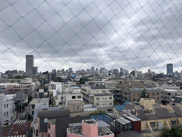 レベッカビルの展望