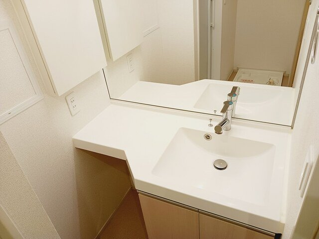 ウィステリアⅠの洗面所