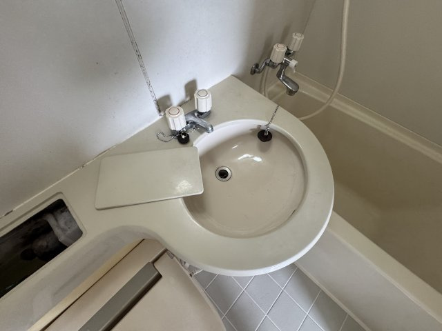 リアライズ緑地北の洗面所