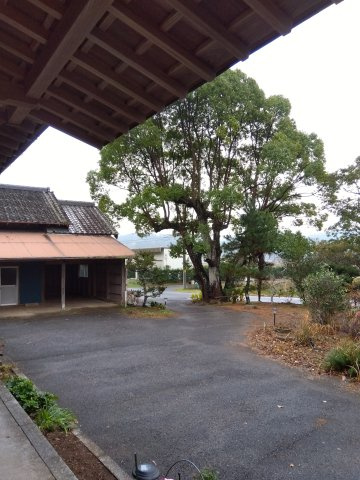 いすみ田舎暮らしの外観|外観も気になるポイント