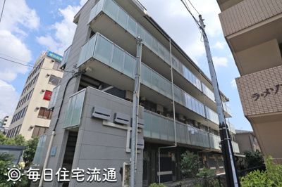 【展望】 | コスモス