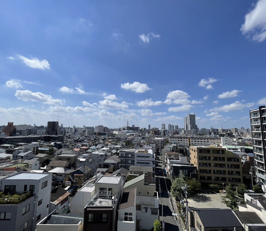 Brillia ist 墨田曳舟の展望