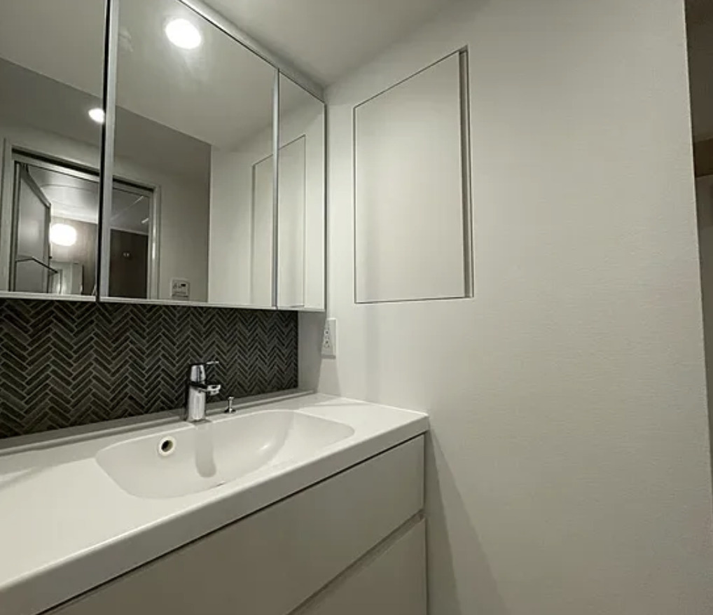 Brillia ist 墨田曳舟の洗面所