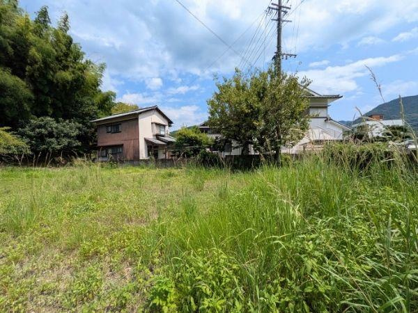 臼杵市海添　土地のその他|現地土地写真