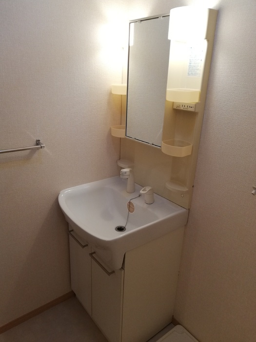 メゾン蒼の洗面所