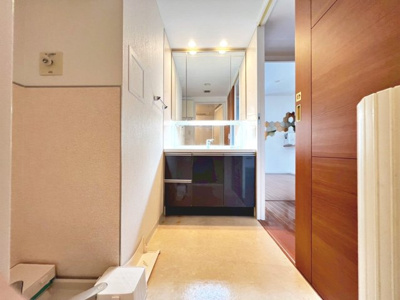 【独立洗面台】 | ディークラウディア津久野駅前アクアガーデン | シャワー付き洗面台ですので、寝ぐせ直しもラクラクですね♪