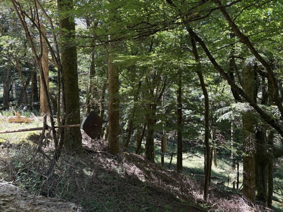 【外観】 | 東急天城高原別荘地　売地