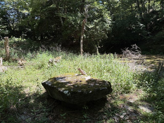 【外観】 | 東急天城高原別荘地　売地