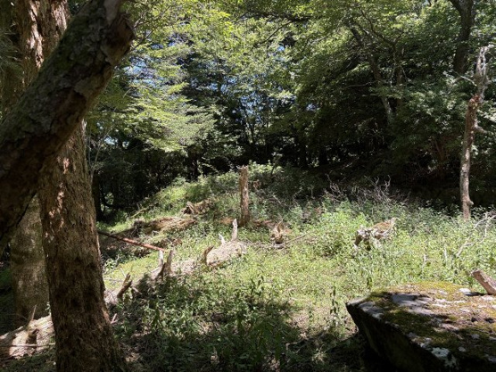 【外観】 | 東急天城高原別荘地　売地