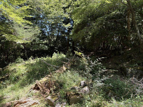 【外観】 | 東急天城高原別荘地　売地