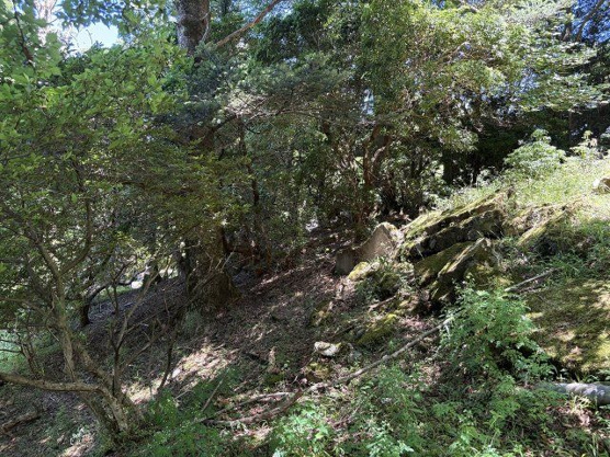 【外観】 | 東急天城高原別荘地　売地