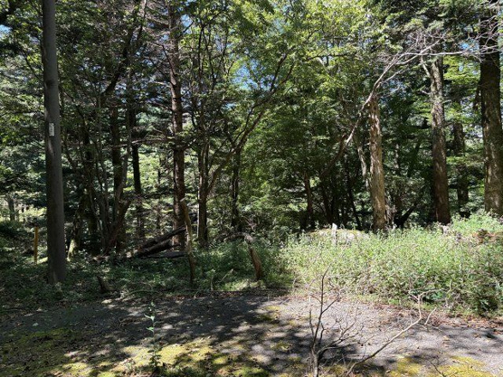 【外観】 | 東急天城高原別荘地　売地