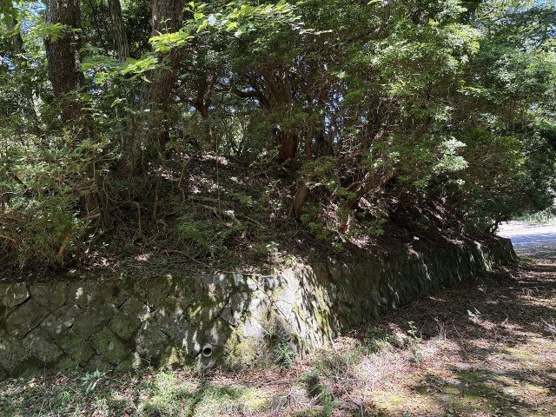 【前面道路含む現地写真】 | 東急天城高原別荘地　売地