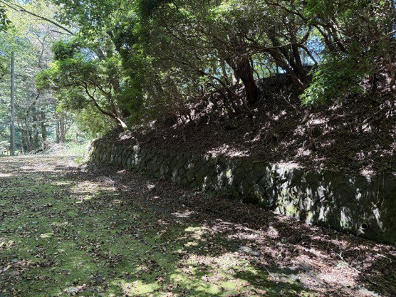 【前面道路含む現地写真】 | 東急天城高原別荘地　売地