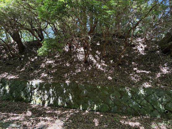 【前面道路含む現地写真】 | 東急天城高原別荘地　売地