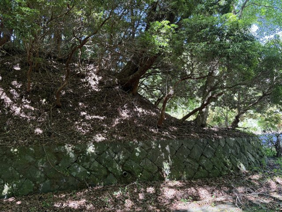 【前面道路含む現地写真】 | 東急天城高原別荘地　売地