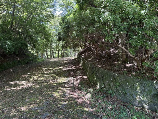 【前面道路含む現地写真】 | 東急天城高原別荘地　売地
