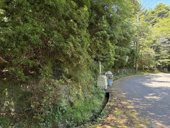 【前面道路含む現地写真】 | 東急天城高原別荘地　売地