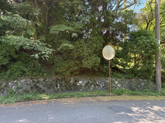 【前面道路含む現地写真】 | 東急天城高原別荘地　売地