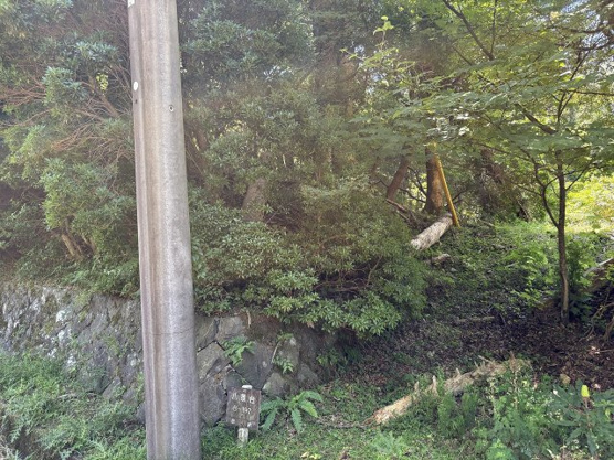 【前面道路含む現地写真】 | 東急天城高原別荘地　売地