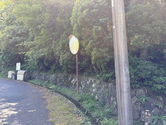 【前面道路含む現地写真】 | 東急天城高原別荘地　売地