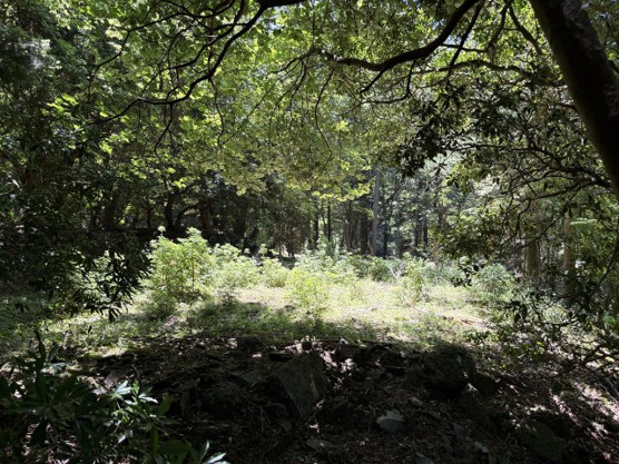 【外観】 | 東急天城高原別荘地　売地