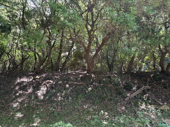 【外観】 | 東急天城高原別荘地　売地