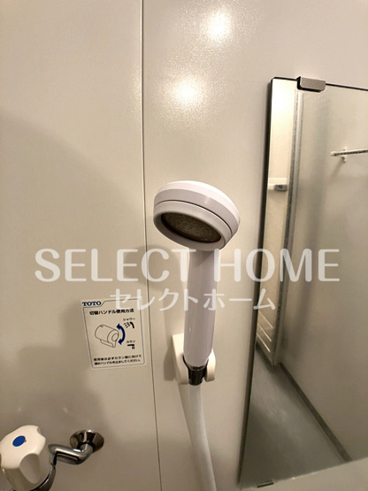  | ロイヤルサルビア