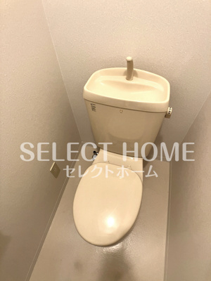  | ロイヤルサルビア