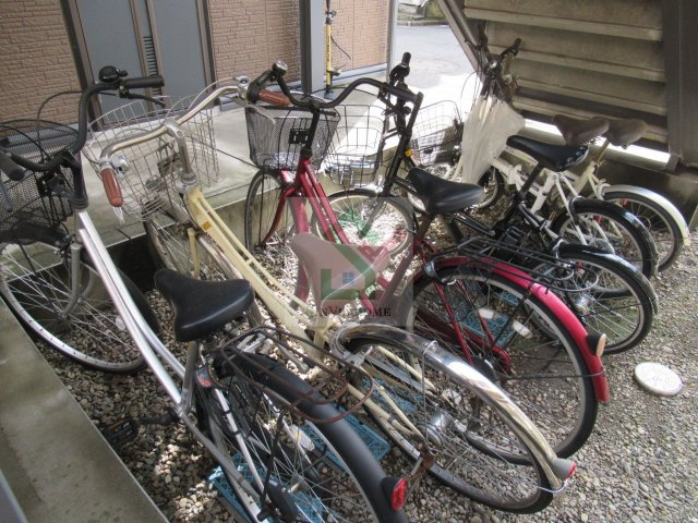 クレセントひばりのその他