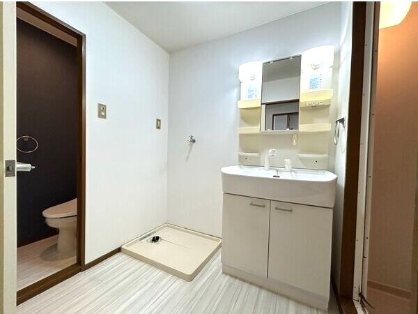 カーサ東田面の洗面所