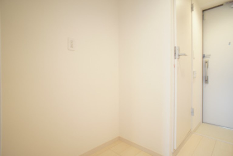 リブリ・カーサ本町西の玄関