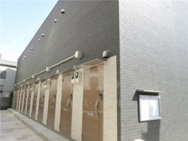 リブリ・シャドゥールの画像