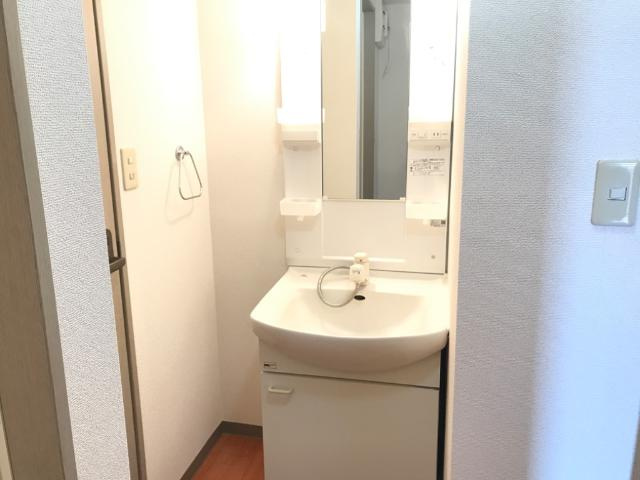 エクセルハイム１０の洗面所|洗面