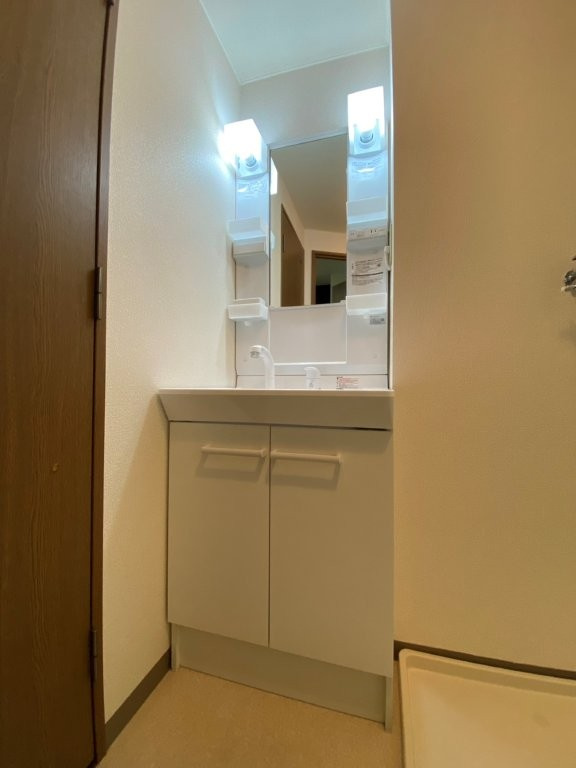 グリーンステージみたけの洗面所