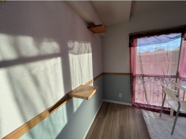 シャインスマイリーのその他