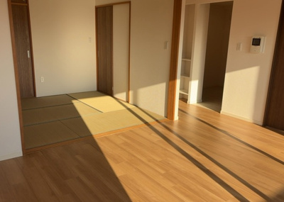 【居間・リビング】 | グランレガーロ | 直線タイプはLとDKを一直線に並べた形で対面キッチンのタイプです。一般的なのでよく見かけるかもしれません。直線タイプに似た直接アイランドタイプは、キッチンとダイニングの間に壁がない分広く感じられます。