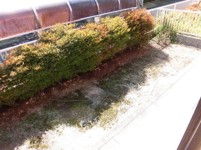 エスボワール　A棟 の庭