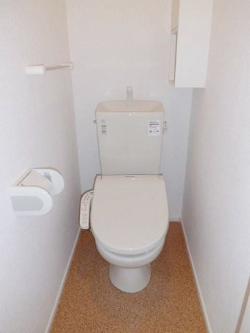 メゾンドソレイユⅢのトイレ