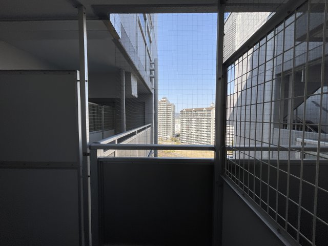 【展望】