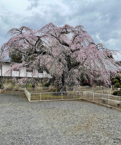 千葉県山武市戸建て　530のその他