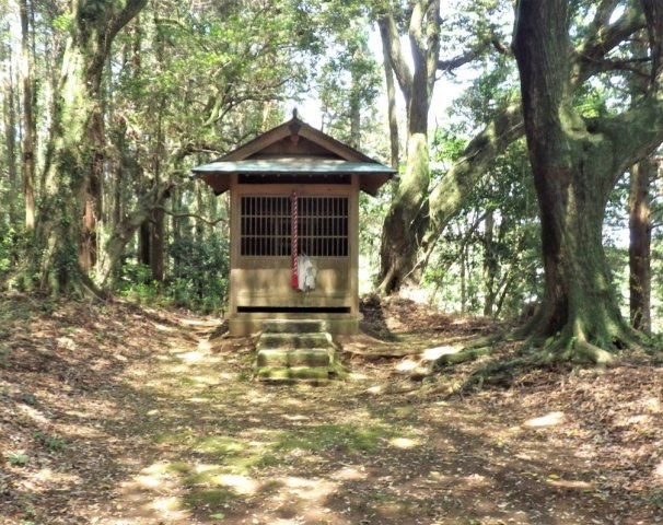 千葉県山武市戸建て　530のその他