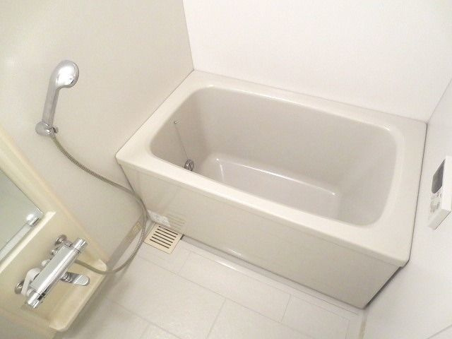 レガリア都立大レジデンスの浴室