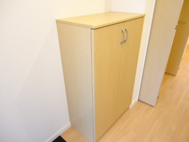 コモド　ピノⅢの収納|玄関収納